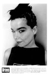 Bravo Profiles: Björk