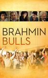 Brahmin Bulls