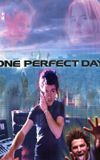 One Perfect Day