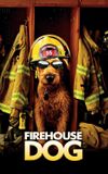 Firehouse Dog