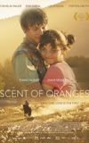 Scent of Oranges