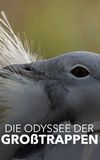 Die Odyssee der Großtrappen - Das Comeback der Riesenvögel