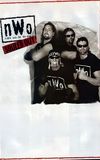 nWo Souled Out 1997