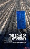 The Song of Sparrows