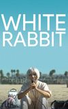 White Rabbit