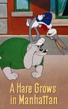 A Hare Grows in Manhattan