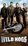 Wild Hogs