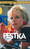 Pestka