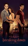 The Twilight Saga: Breaking Dawn - Part 1