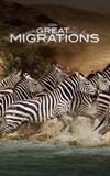 Great Migrations