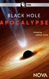 Black Hole Apocalypse