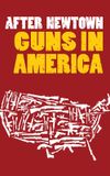 After Newtown: Guns in America