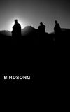 Birdsong