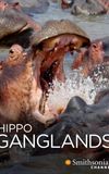 Hippo Ganglands