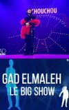 Gad Elmaleh - Le Big Show