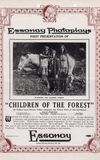 Children of the Forest