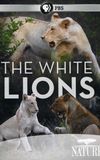 The White Lions