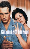 Cat on a Hot Tin Roof