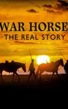 War Horse: The Real Story