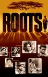 Roots