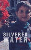 Silvered Water