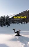 Snowshoe