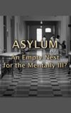 Asylum: An Empty Nest For The Mentally Ill?