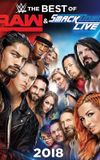 WWE The Best of Raw and Smackdown Live 2018