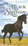 The Adventures of the Black Stallion