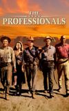 The Professionals