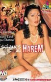 Esclaves Au Harem