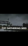 The Gathering Seed