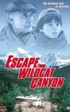 Escape from Wildcat Canyon