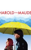 Harold and Maude