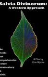 Salvia Divinorum: A Western Approach