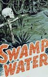 Swamp Water