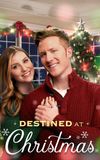 Destined at Christmas