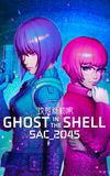 Ghost in the Shell: SAC_2045