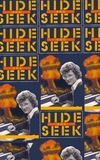 Hide and Seek