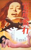 International Stewardess: Erotic Flight