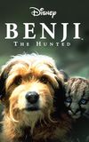 Benji the Hunted