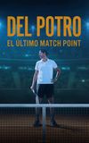 Del Potro, el último match point