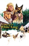 Challenge to White Fang