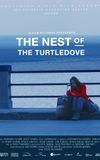 The Nest of the Turtledove