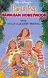 Parent Trap: Hawaiian Honeymoon