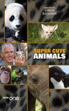 Super Cute Animals