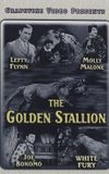 The Golden Stallion