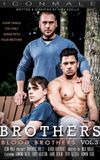 Brothers 3: Blood Brothers