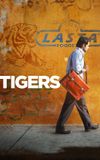 Tigers