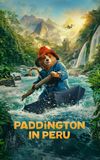 Paddington in Peru